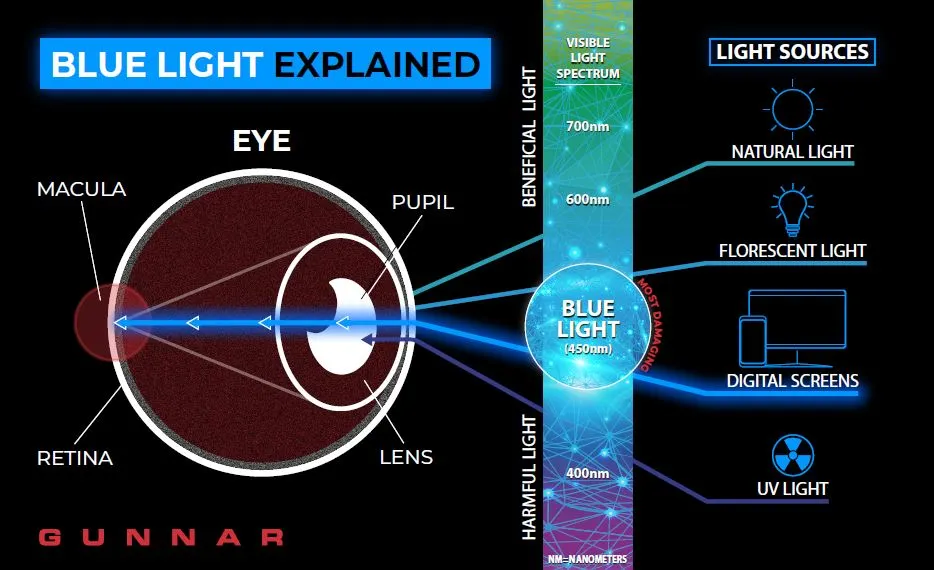 Chart on Blue Light Glasses